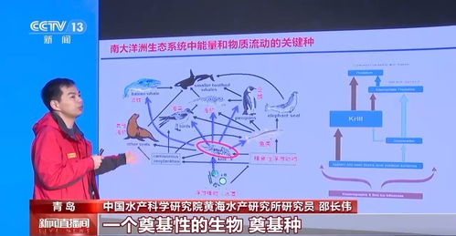 筑夢(mèng)南極丨如何給南極冰蓋做CT 揭開那些藏在科考站里的科技奧秘